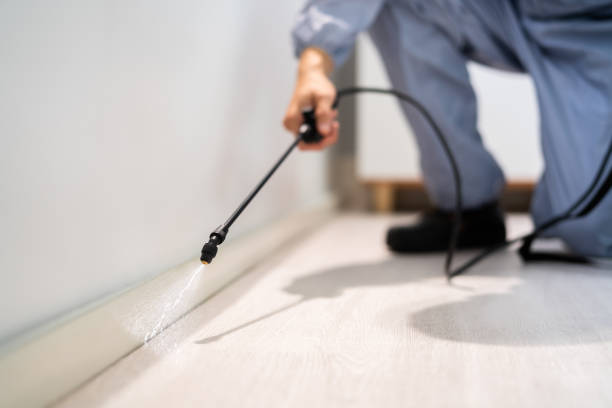 Licensed Cockroach Control service in Hazleton, PA - Nex Pest Control