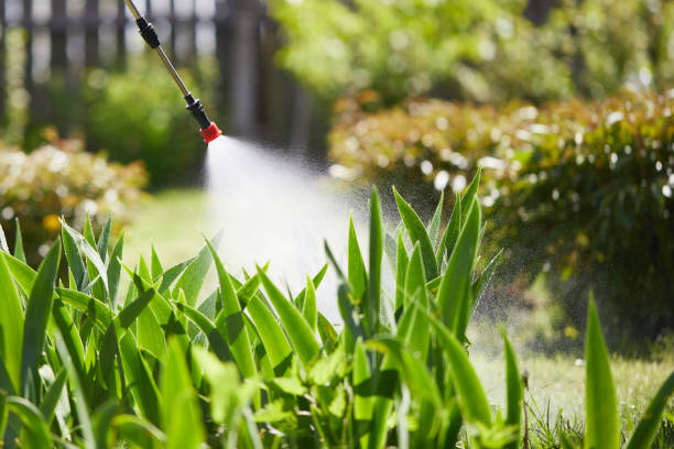 24/7 Emergency Cockroach Control experts in Hazleton, PA