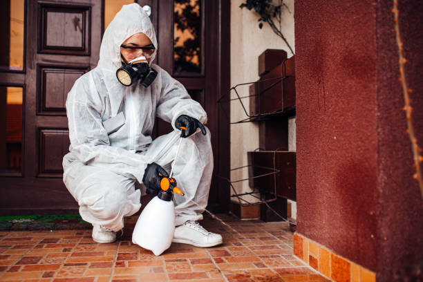 Reliable Cockroach Control contractor in Hazleton, PA by Nex Pest Control